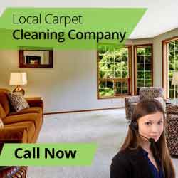 Contact Carpet Cleaning Services